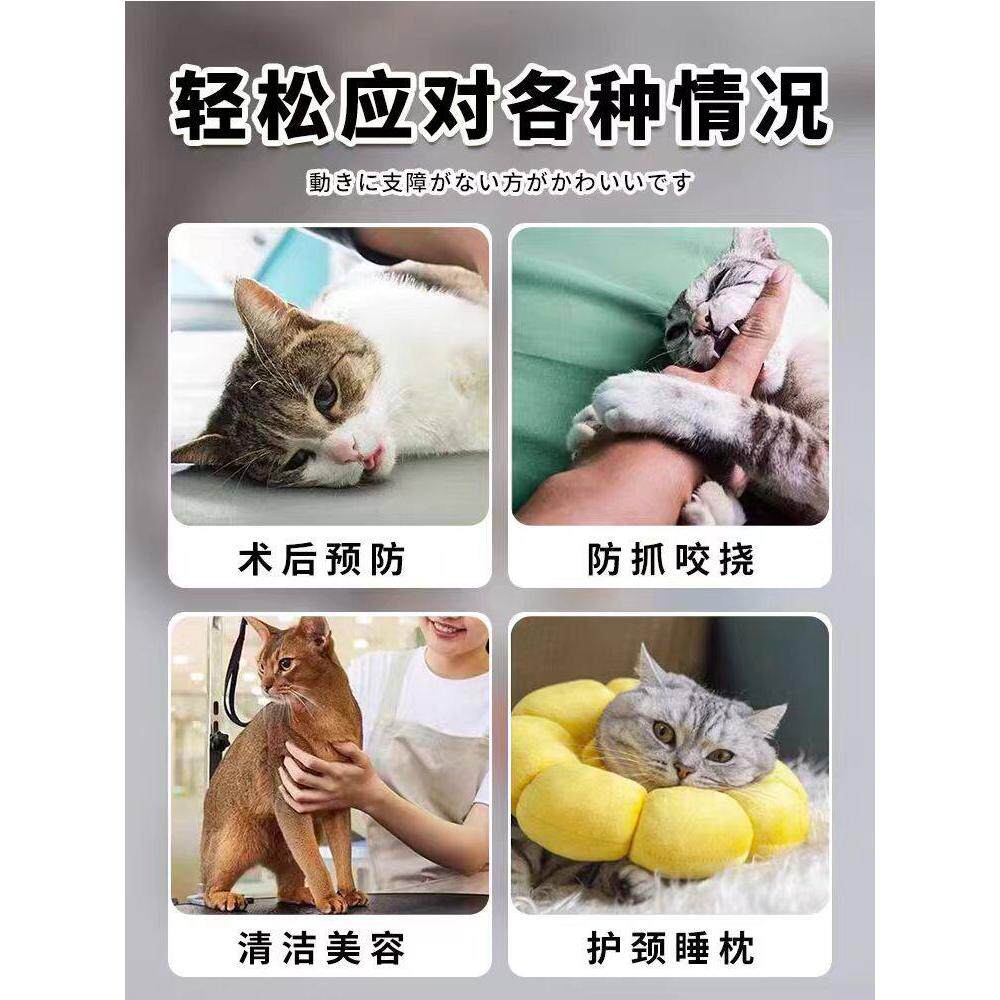 【猫咪项圈】伊丽莎白圈太阳花防舔咬软头套伊莉伊利沙白脖圈用品