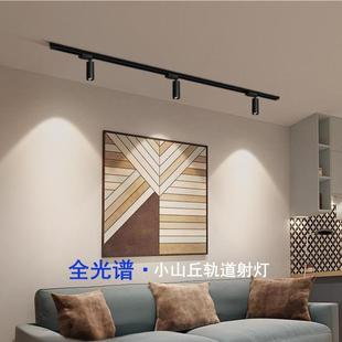 8°度角照盆景餐厅桌字画吸顶小山丘导轨灯 小角度led轨道射灯明装