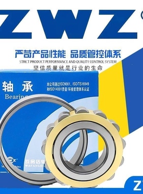 圆柱滚子轴承NJ RN RNU202 203 204 205 206 207 208  209 210EM