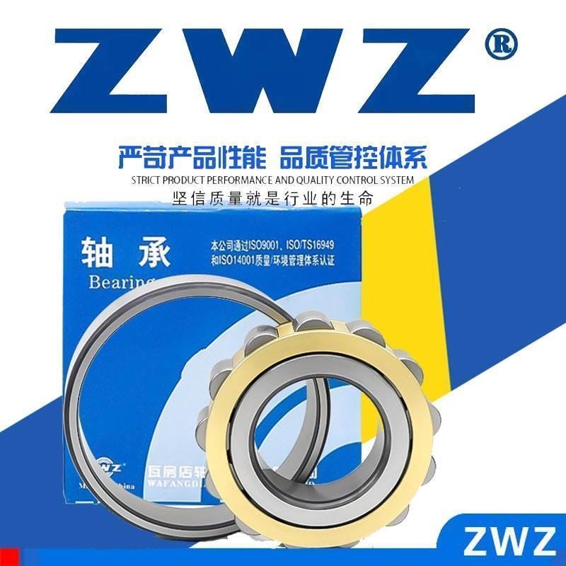 二类圆柱滚子轴承NJ RN RNP228 230 232 234 236 238 240 EM静音