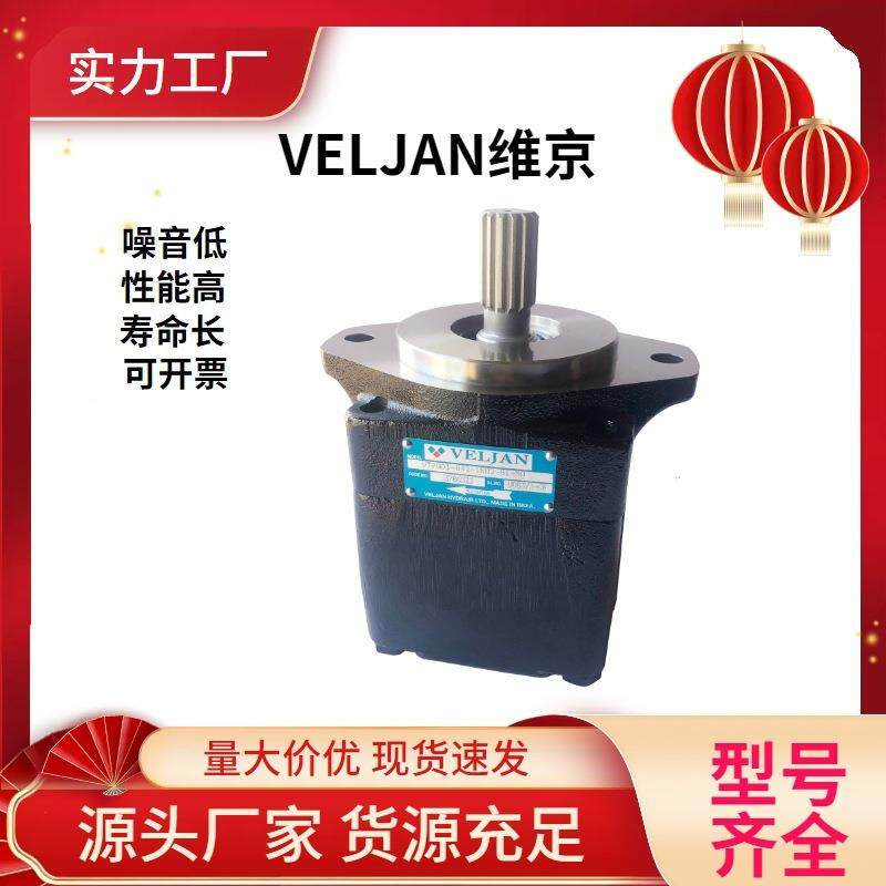 VELJAN维京高压双联电动泵VT6DM-014-1R00-B1液压油泵/叶片泵