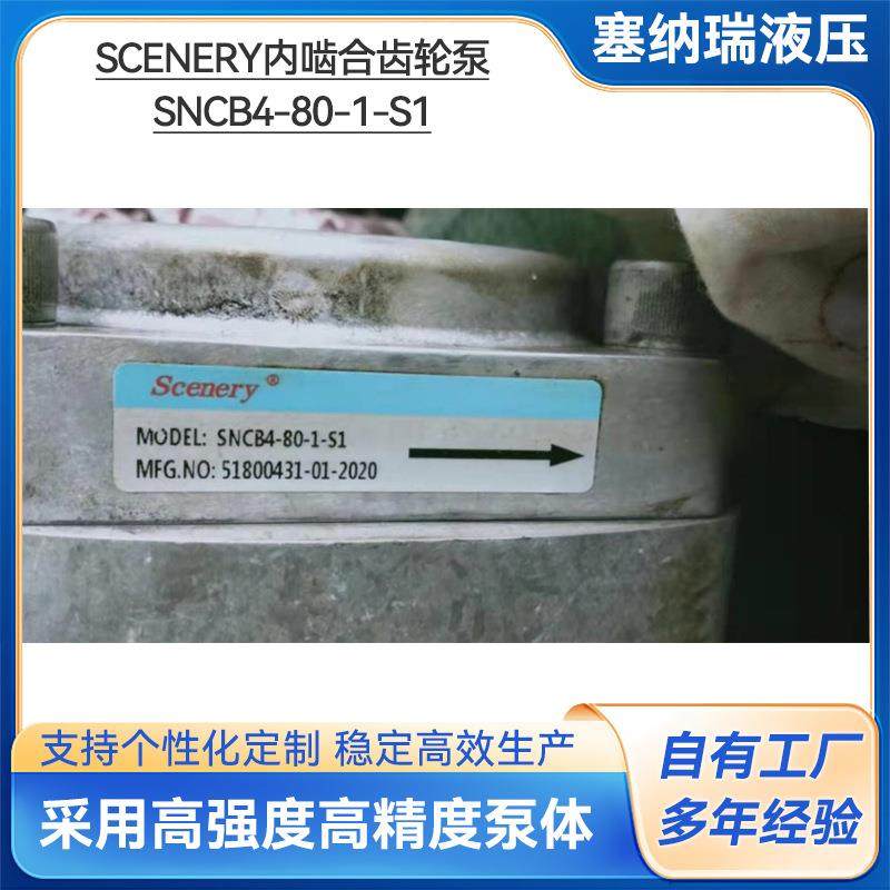厂家直销江苏福建内啮合齿轮油泵 卧式铸铁t SNCB4-80-S1液压齿轮