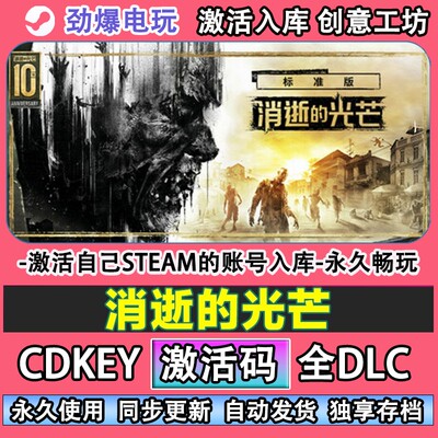消逝的光芒steam正版Dyi