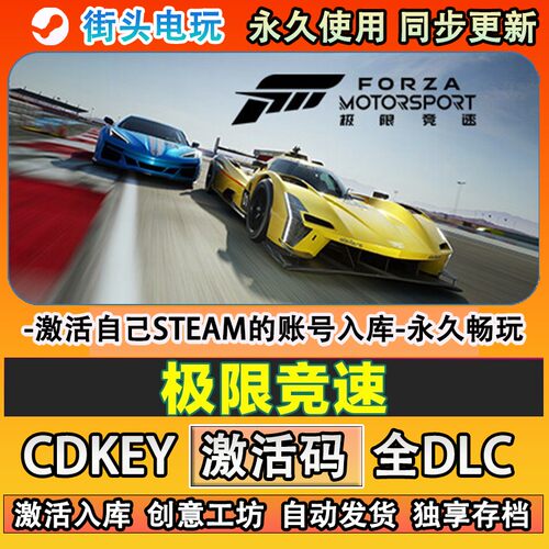 极限竞速steam游戏ForzM