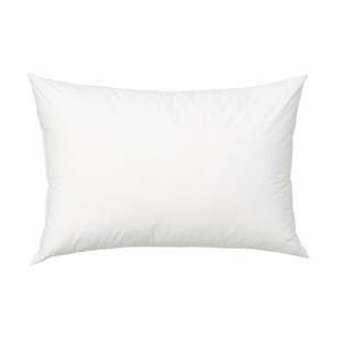 60x85/65x80 85 90 100大号靠枕芯床头沙发办公室抱枕靠垫芯一只