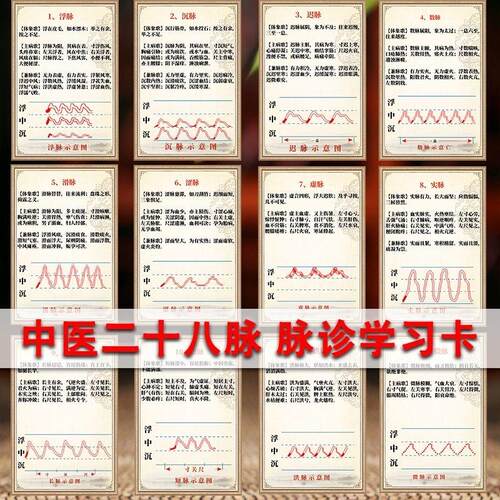 中医二十八脉及全部脉象动态图解