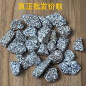 天然麦饭石颗粒鱼缸鱼池水族过滤材料火山石净水用10斤装 真便宜