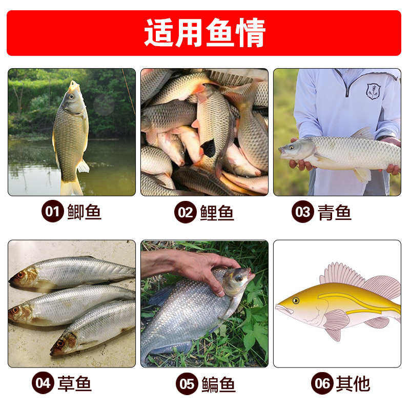 穿透王聚鱼宝钓鱼小药黑坑野钓鲫鲤草鳊鱼专用鱼饵料打窝料诱鱼剂