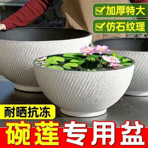 加厚碗莲盆塑料特大号无孔花盆白色铜钱草一叶莲睡莲水培荷花盆缸