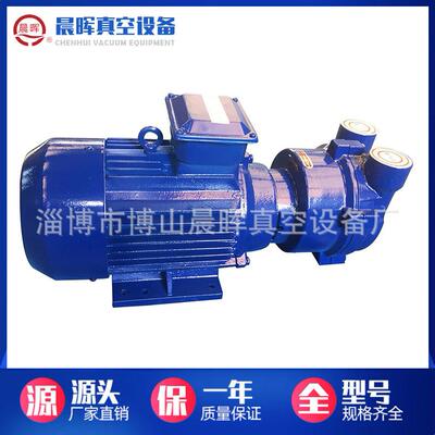 专业供应水环式真空泵2BV2070-2071 石油化工专用2BV水环真空泵