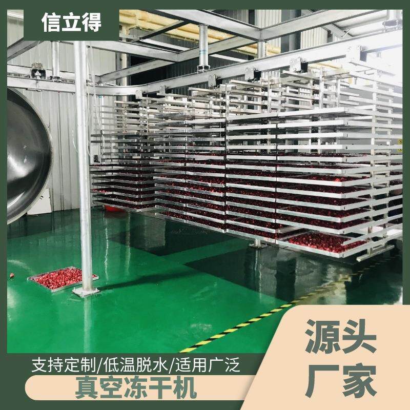 草莓真空冷冻干燥机 蜜桃低温脱水冻干机 冻干粉脱水干燥设备