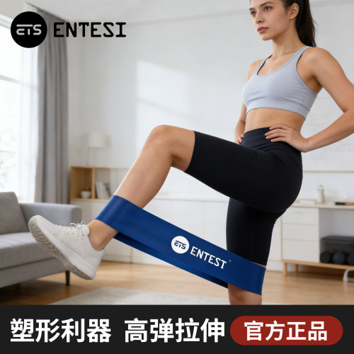 ENTESI 瑜伽带弹力圈阻力带健身女男伸展拉力带力量训练深蹲乳胶