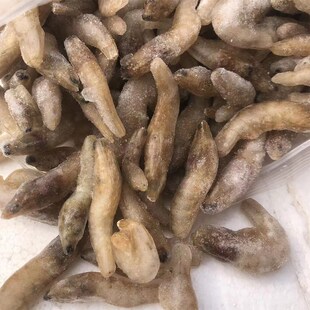 冷冻小鱼喂鱼饲料鱼红龙鱼食单冻新鲜小白条鱼红龙鱼食泥鳅河虾