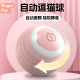 逗猫玩具小猫咪自动滚滚球宠物智能电动自嗨解闷神器消耗体力用品