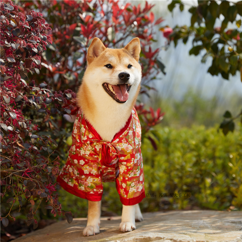 宠物和服狗狗中小型犬柴犬柯基法斗格子海浪衣服和服浴衣
