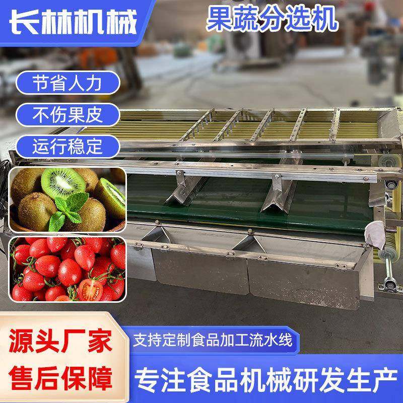 土豆萝卜分级机柑橘荔枝轨道式选果机青枣车厘子黄桃轨道式分选,口碑/饿了么本地生活,闪购其他厨房电器,淘宝优惠券,粉丝福利购,淘宝优惠卷