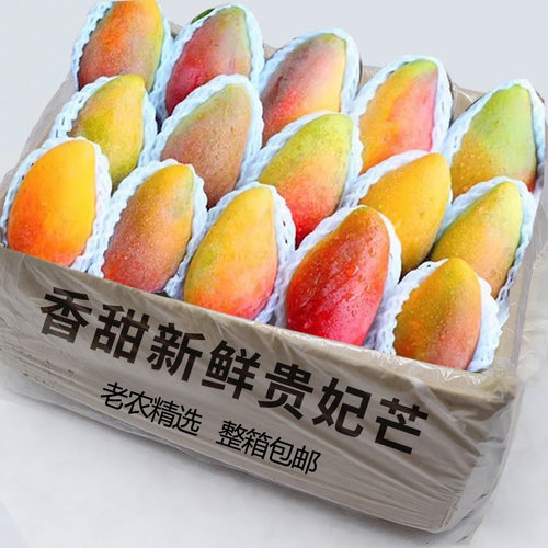 新鲜贵妃芒5斤装！香甜多汁
