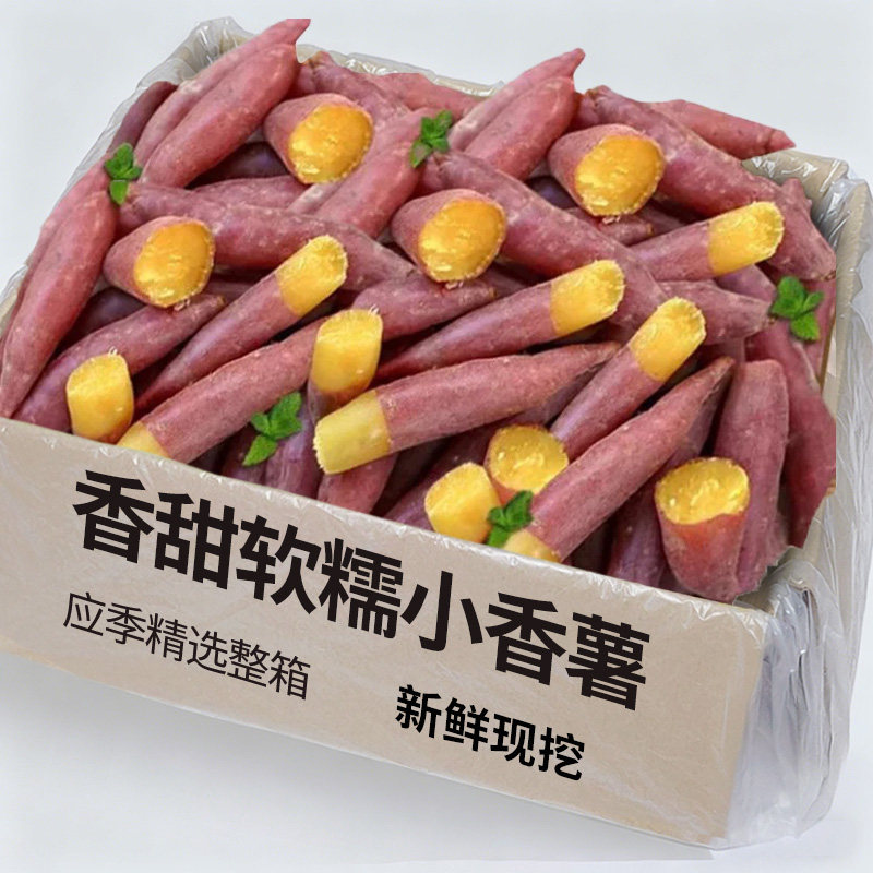 新鲜临安天目山小香薯正宗红薯板栗薯黄心迷你地瓜蜜山芋蕃薯2