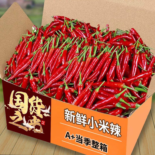 新鲜小米辣椒2斤现摘小米椒朝天