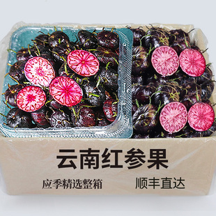 孕妇罕见红参果 新鲜红果参算盘果云南蜘蛛果稀奇水果当季 顺丰