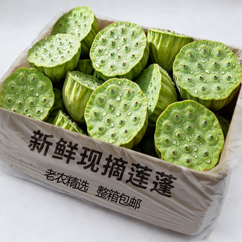 现货新鲜莲蓬现摘生吃4斤新鲜孕妇水果当季蔬菜甜嫩湿莲子米即食
