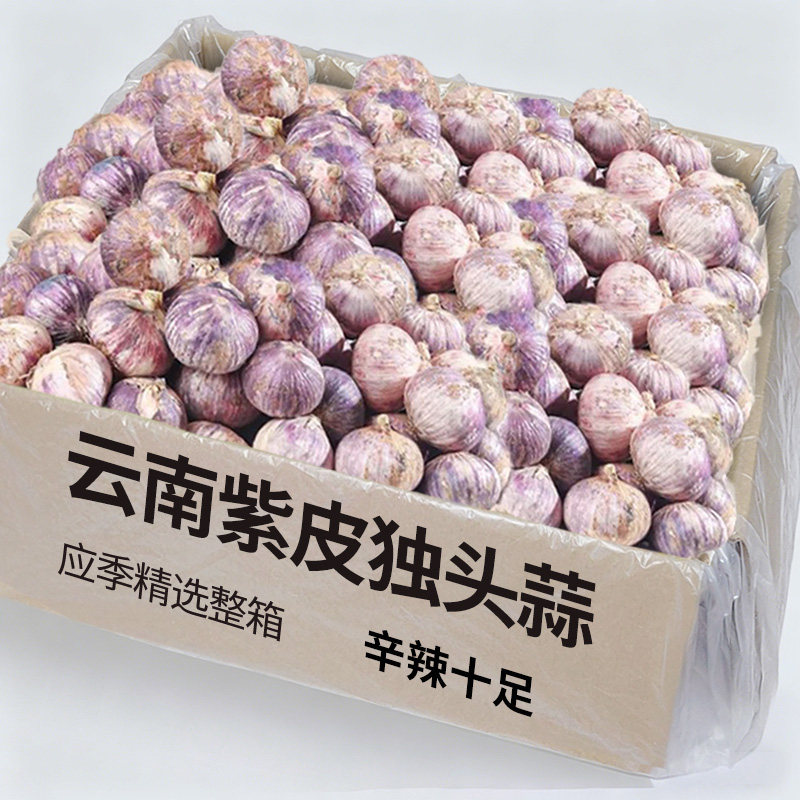 云南独头蒜大蒜头新鲜紫皮独蒜湿大蒜红珍珠干蒜5斤蔬菜当季整箱