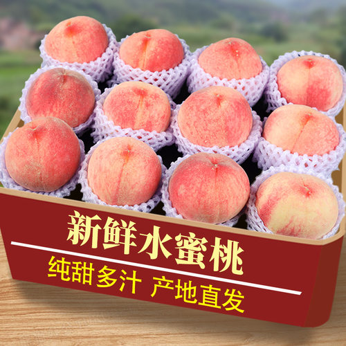 新鲜露天水蜜桃5斤毛桃子当季现摘水果脆甜春雪蜜桃大果孕妇整箱