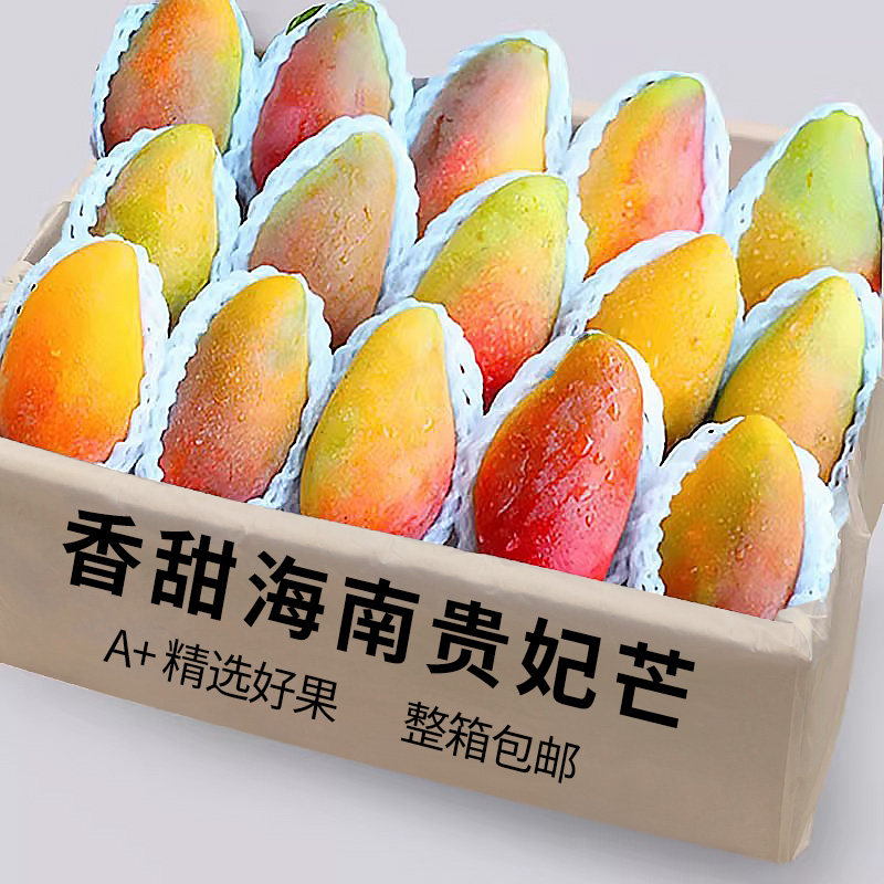 海南贵妃芒新鲜芒果应当季水果树上熟红金玉青辣椒芒现摘大果整箱