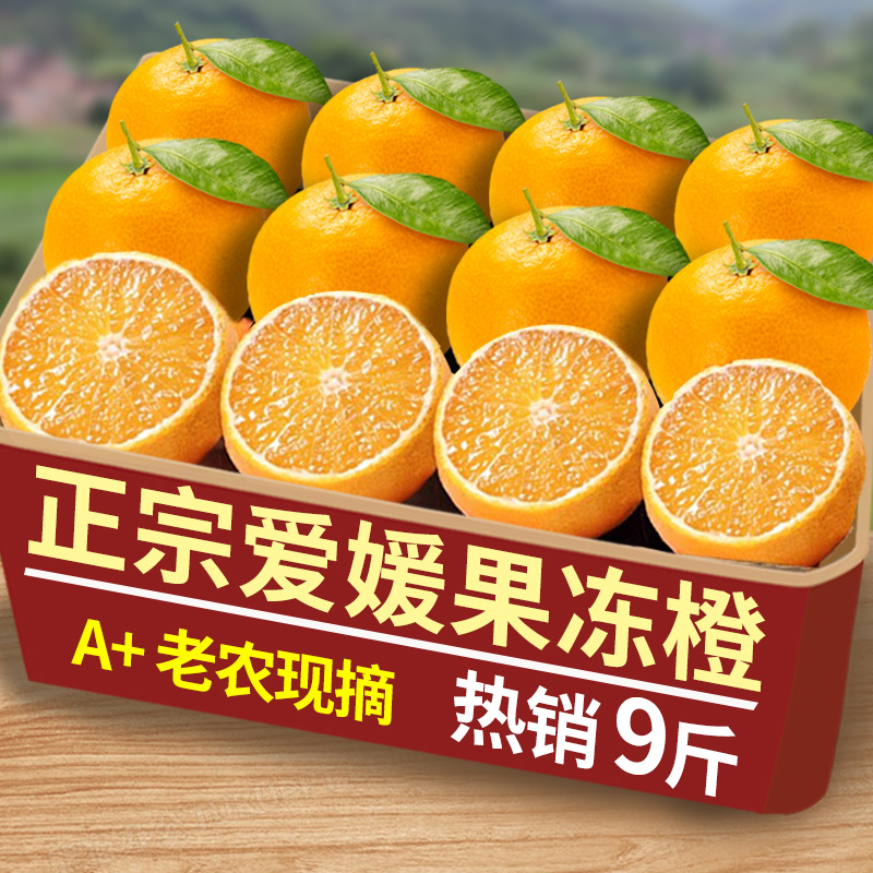 爱媛38号果冻橙新鲜橙子