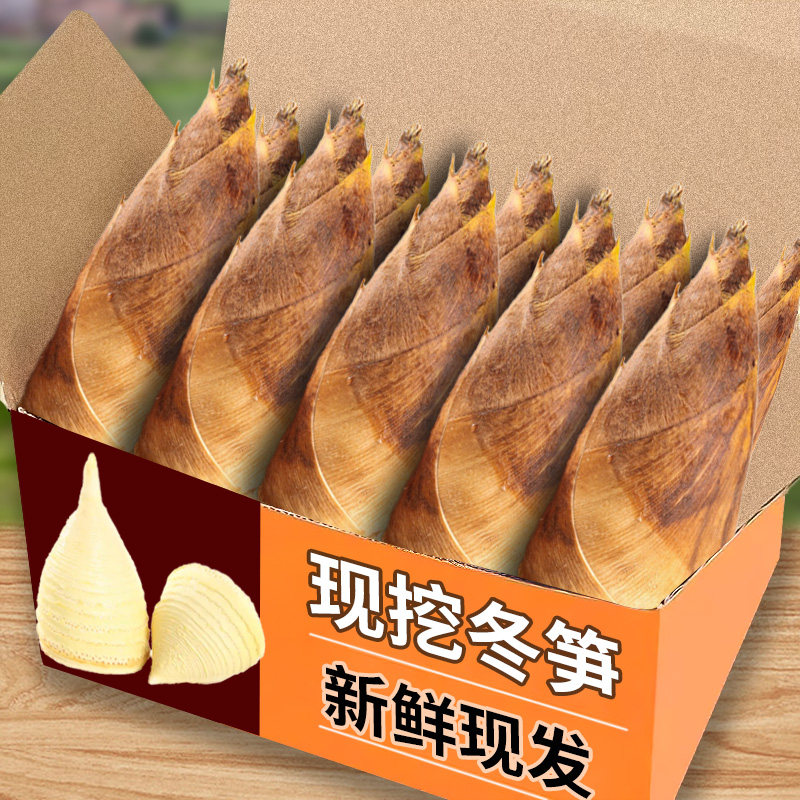 浙江冬笋发货新鲜冬笋大竹笋鲜笋蔬菜野生冬笋新鲜现挖5斤鲜竹笋