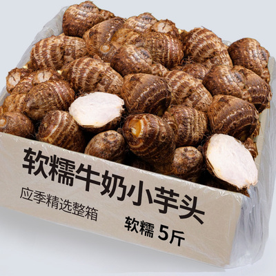 牛奶小芋头5斤毛芋头新鲜蔬菜小香芋槟榔芋芋艿农家自种红芽