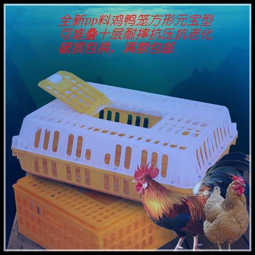 塑料鸡笼鸡鸭周转箱运输笼鸡鸭鹅兔鸽子运输笼大号鸡用运输筐