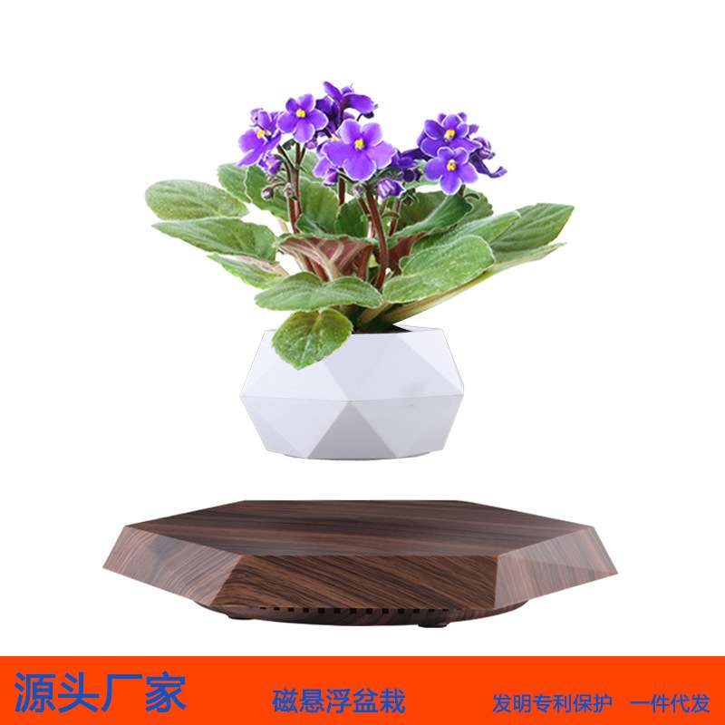 办公室创意桌面盆栽磁悬浮天空之城微景观植物迷你磁悬浮盆栽摆件