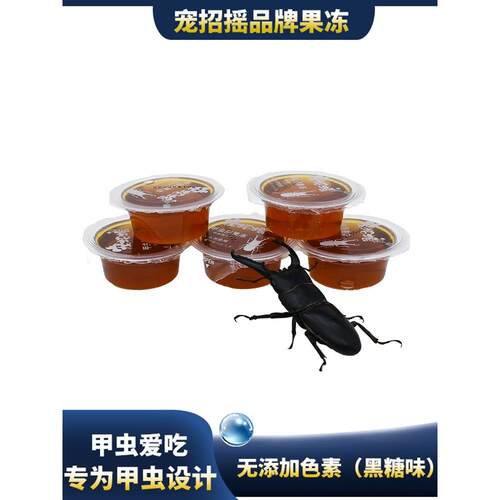 甲虫果冻独角仙昆虫果冻台饲料毛象金龟子兜虫成虫黑糖锹甲虫食物