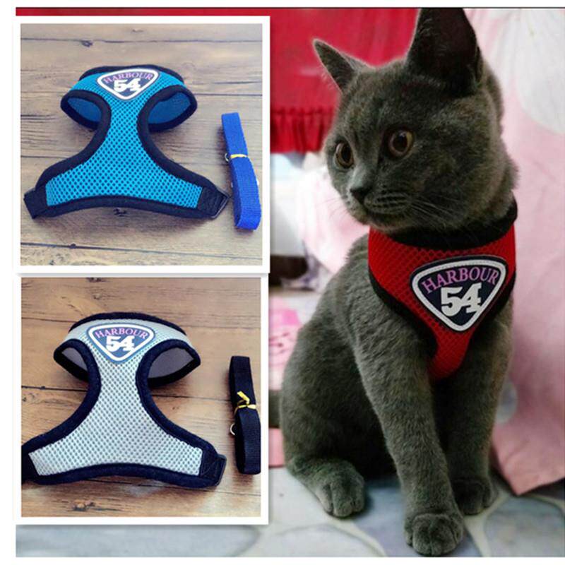 猫牵引拴猫绳溜猫绳子宠物胸背带猫咪胸背带套装猫链子胸背带