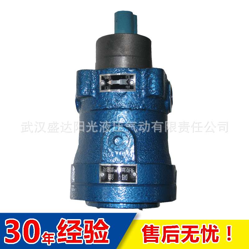 启东 上海 1.25MCY14-1B 2.5MCY14-1B 定量柱塞泵 轴向柱塞泵