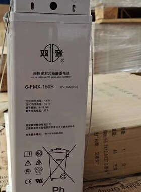双登狭长型6-FMX-100B蓄电池12V100AH150AH200AH通信基站机房