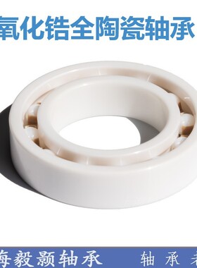 抗高温氧化锆全陶瓷轴承6307 6308 6309 6310 6311 6312 6314CE