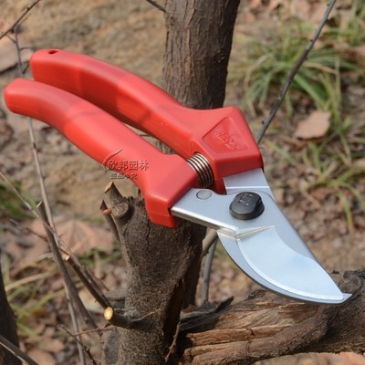 爱丽斯120EU整枝园林工具剪果树剪绿化园艺剪刀 修花剪刀 修枝剪