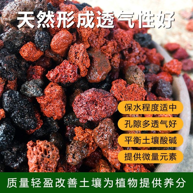 火山石颗粒养花透气火山岩盆栽兰花多肉铺面石造景专用营养土底砂,鲜花速递/花卉仿真/绿植园艺,介质/营养土,淘宝优惠券,粉丝福利购,淘宝优惠卷