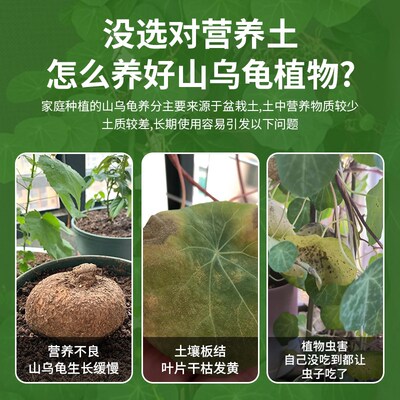 山乌龟专用土千金藤专用营养土爬藤植物养花肥料土腐叶泥炭颗粒土