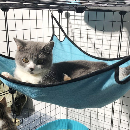 猫吊床吸盘式挂窝猫窝夏天晒太阳猫咪吊床窝窗台观景猫床猫咪用品