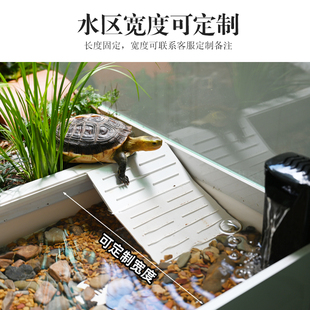 黄缘乌龟生态造景饲养箱家用养龟专用缸安缘闭壳龟半水龟养殖箱子