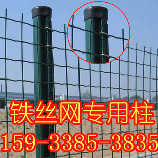 铁丝网围栏立柱荷兰网柱子燕尾柱B防护栏网支撑养殖网预埋底盘柱