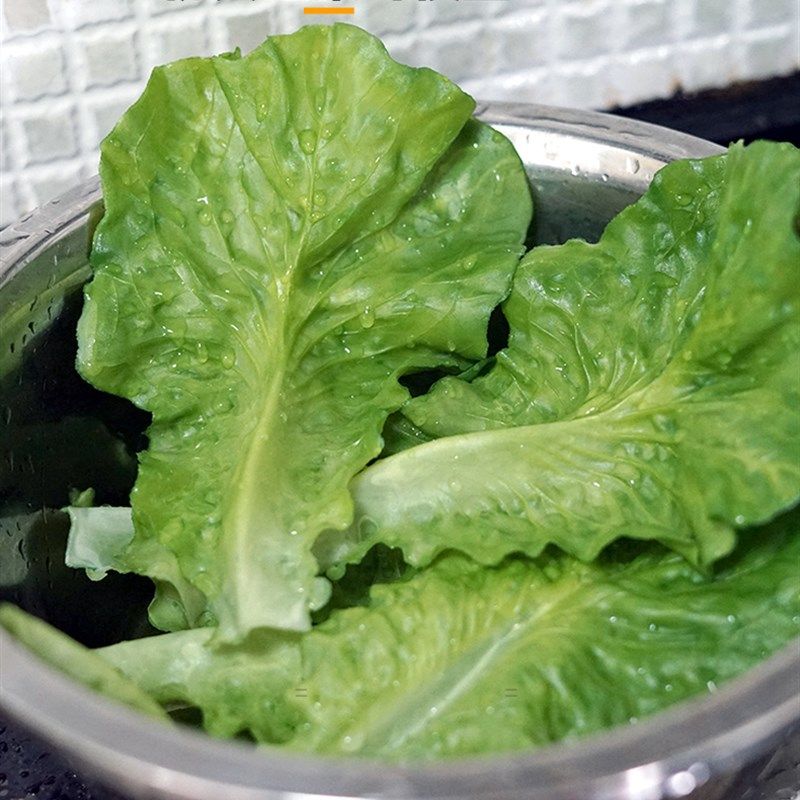 假蔬菜仿真生菜片l软塑料生菜叶子厨房柜生鲜肉底料配饰软装摆件,居家日用,伞架/伞配件,淘宝优惠券,粉丝福利购,淘宝优惠卷