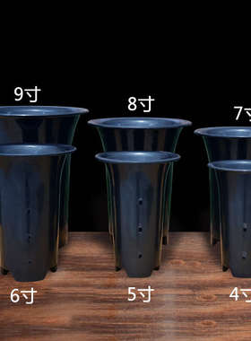 10个绿兰牌加厚兰花专用盆塑料花盆带侧孔兰盆君子兰种植盆控根盆