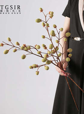 仿真野猕猴桃果实树枝客厅电视柜高级假花绿植装饰花摆设摄影道具