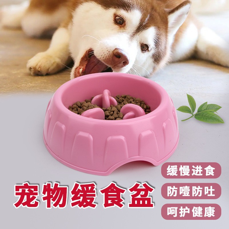 宠物专用慢食碗呵护健康图片
