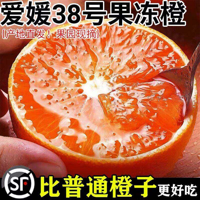 爱媛38号果冻橙新鲜橙子水果当季整箱10斤四川甜柑橘手剥大果包邮
