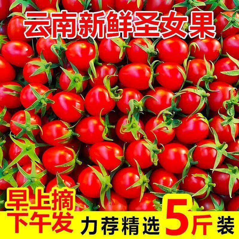 圣女果新鲜樱桃小番茄云南千禧小西红柿孕妇水果现摘现发5斤包邮